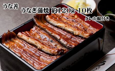 うなぎ 蒲焼 10枚 セット ウナギ 鰻 たれ 蒲焼き 惣菜 おかず ごはんのお供 魚 魚介 魚介類 冷凍 加工食品 静岡 湖西市 湖西