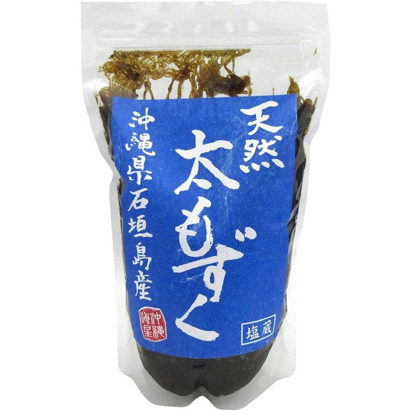 沖縄県 石垣島産 天然太もずく（塩蔵） 500g 夏季商品