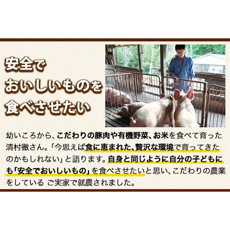 ふるさと納税 ワイルド塊BBQセット 計1450g 清村養豚 《30日以内に順次出荷(土日祝除く)》  熊本県 御船町 豚 肉 冷凍 小分け カタ モモ バラ 熊本県御船町