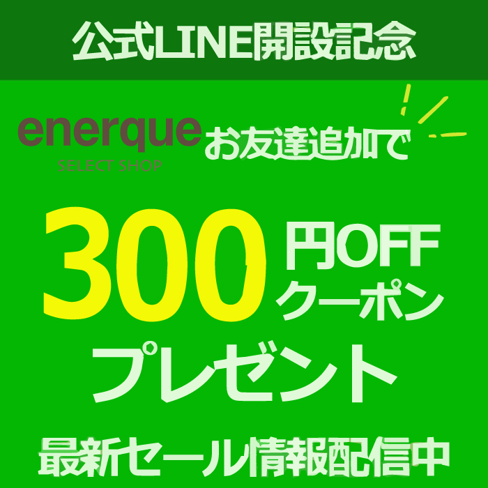 賛否両論フリーズドライスープ 　4個入　 内祝い ギフト 出産内祝い 引き出物 結婚内祝い 快気祝い お返し 志