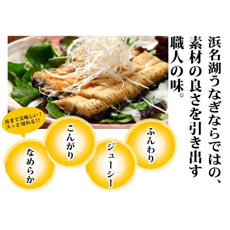 うなぎ 白焼き 国産 真空パック 浜名湖 長焼き 2人前 送料無料