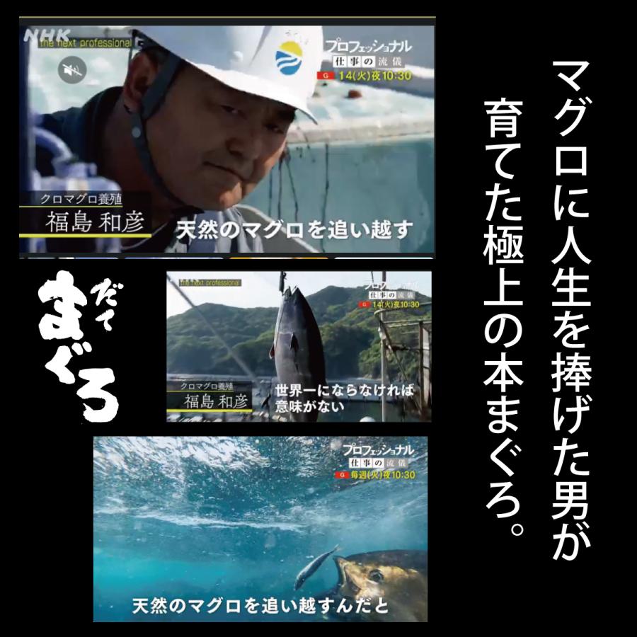 生本マグロ（だてまぐろ）赤身・中とろ・大とろ食べ比べ計450ｇ刺身  鮪 伊達マグロ 海鮮  ギフト 国産 冷蔵 チルド クロマグロ