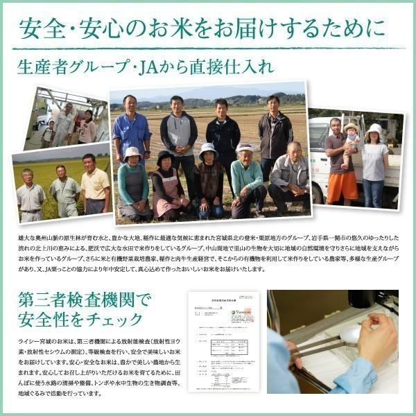 新米 米 30kg つきあかり 宮城県産 米30kg お米 白米 令和5年産 送料無料 5kg×6袋セット