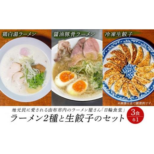 ふるさと納税 大分県 由布市 日輪食堂のラーメン2食（鶏白湯・醤油豚骨）と生餃子16個のセット