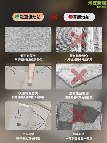 硅藻泥地墊 地墊 腳踏墊 浴室地墊 吸水地墊 防滑地墊 衛生間地墊 硅藻土地墊 淋浴房腳墊 家用吸水地墊 速幹吸水地墊