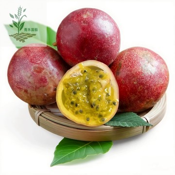 青禾園藝（紫皮百香果種子）BXG-1 超甜高產耐高溫水果之王新手四季播種爬藤水果種子#台灣自留種