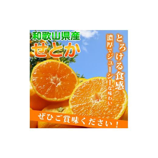 ふるさと納税 和歌山県 有田川町 とろける食感！ジューシー柑橘せとか約3kg