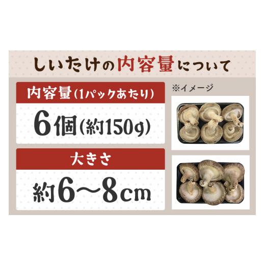 ふるさと納税 秋田県 横手市 しいたけ A品 6L（約150g）×20パック