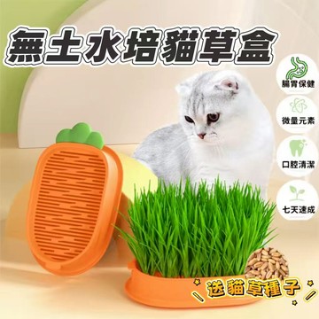 🔥當日出貨🔥 貓草水培盆栽盒 貓草水培盒  無土水培盒 貓草Diy 水培貓草盒 無土貓草盒 貓草 小麥貓草 貓咪化毛