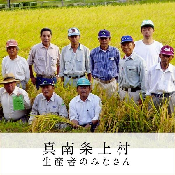 米 お米 新米 丹波篠山特別栽培米コシヒカリ(2kg) 令和2年度産 新米特Aランク 2kg