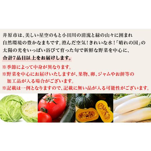 ふるさと納税 岡山県 井原市 旬の農産物（野菜・果物など）詰合せ