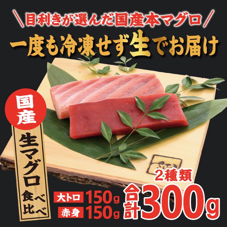 お歳暮 国産本生マグロ 大トロ 赤身 合計300g２種セット 本鮪 刺し身 未冷凍 生まぐろ 海鮮丼 贈り物 送料無料