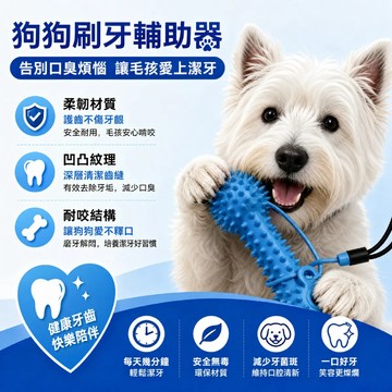 ⌛️全網最低價⌛️狗狗刷牙輔助器 狗狗磨牙棒 寵物啃咬棒 清潔磨牙棒 潔牙輔助玩具 寵物潔牙玩具 磨牙棒 寵物牙刷