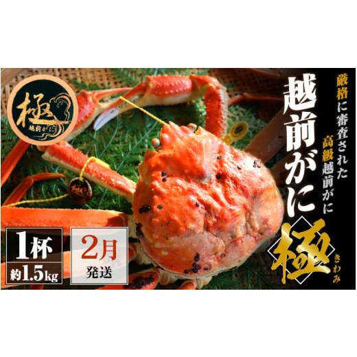 ふるさと納税 福井県 越前町 越前がに本場の越前町からお届け！越前がに極 浜茹で × 1杯（生で約1.5kg）極タグ付き！正真正銘の越前がに極！…