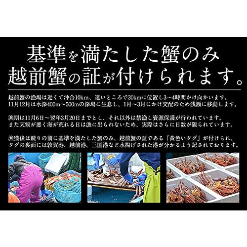 港ダイニングしおそう 甲羅盛りセット極 【 越前産ズワイガニ 中サイズ×1個(甲羅横幅 約11cm) ＆ セイコガニ 小サイズ 70g前後×2個(甲羅