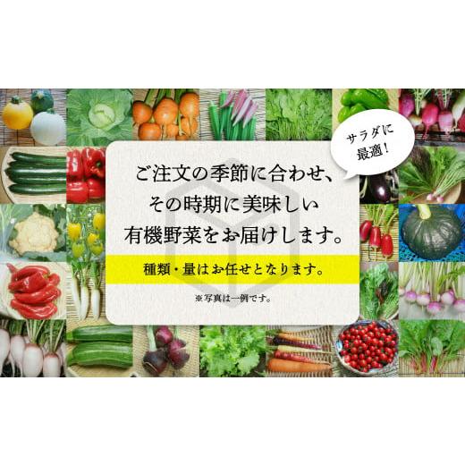 ふるさと納税 石川県 小松市 西田農園　季節の野菜詰合せ　Ｂセット