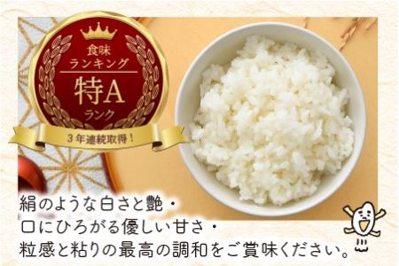  定期便 ≪6ヶ月連続お届け≫ 福井県のブランド米 いちほまれ 無洗米 10kg × 6回 計60kg  [K-6155]