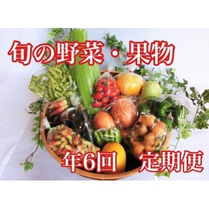 ふるさと納税 定期便 6回 野菜 果物  8〜12種類程度 旬の野菜と果物セット お得 パック 詰め合わせ 高知県 須崎市 高知県須崎市