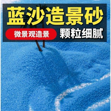 ⭐臺灣熱賣好物⭐藍沙細沙微景觀造景園藝盆栽裝飾生態瓶填充專用石英砂