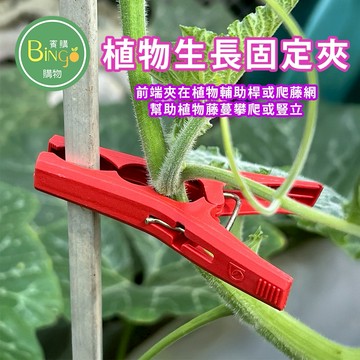 賓購 植物生長固定夾 瓜藤夾 夾子 苦瓜夾 植物固定夾 瓜果夾 花夾 蘭花夾 果袋夾 爬藤夾 絲瓜夾 爬藤夾