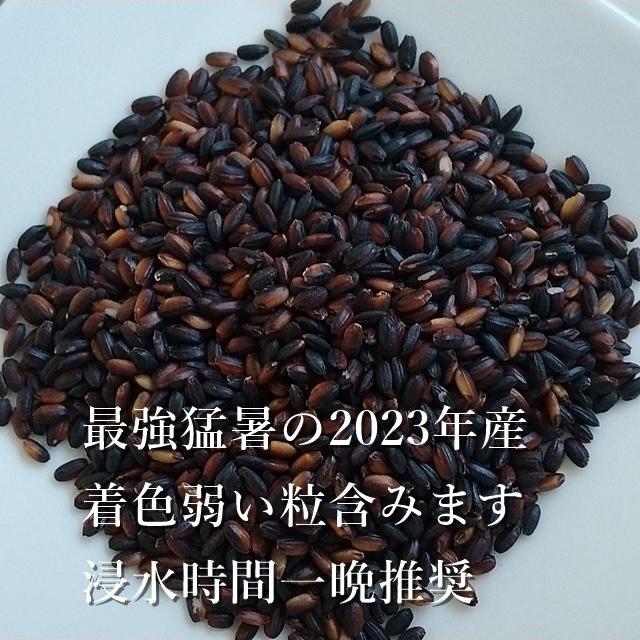 無農薬「黒米」300ｇ（ポスト投函）