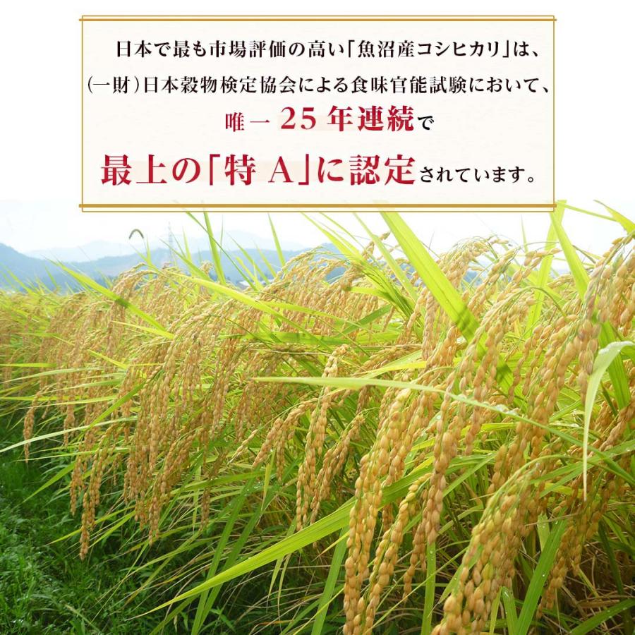 米10kg 米 お米 10kg 白米 送料無料 コシヒカリ 魚沼産 新潟県産 米5kg×2 こめ 米10キロ お米10キロ 10キロ お米10kg 精米 単一原料米 令和5年産 新米 高級