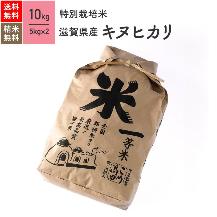 米 お米 10kg キヌヒカリ 滋賀県産 特別栽培米 5年産