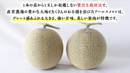  秋にお届け！  リピーター 多数 の 完熟 アールスメロン １玉入箱 茨城 メロン 青肉 期間限定 数量限定 マスクメロン [AF086ci]