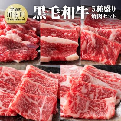 ふるさと納税 川南町 黒毛和牛5種盛り 焼肉セット 300g(川南町)