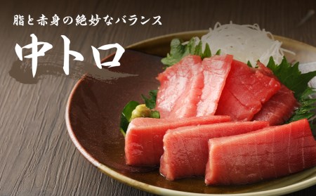 長崎県産 本マグロ2種盛り「中トロ・赤身」約550g