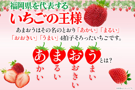 あまおう『ごほうびいちご』田川産あまおう 450g ＜2024年1月以降順次発送予定＞ あまおう いちご 苺 大粒 フルーツ 果物 お取り寄せ ご当地グルメ 福岡土産 取り寄せ グルメ 福岡県 食品