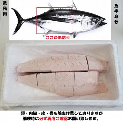 ふるさと納税 吉田町 業務用　びんちょうまぐろ　半身入り　約3kg