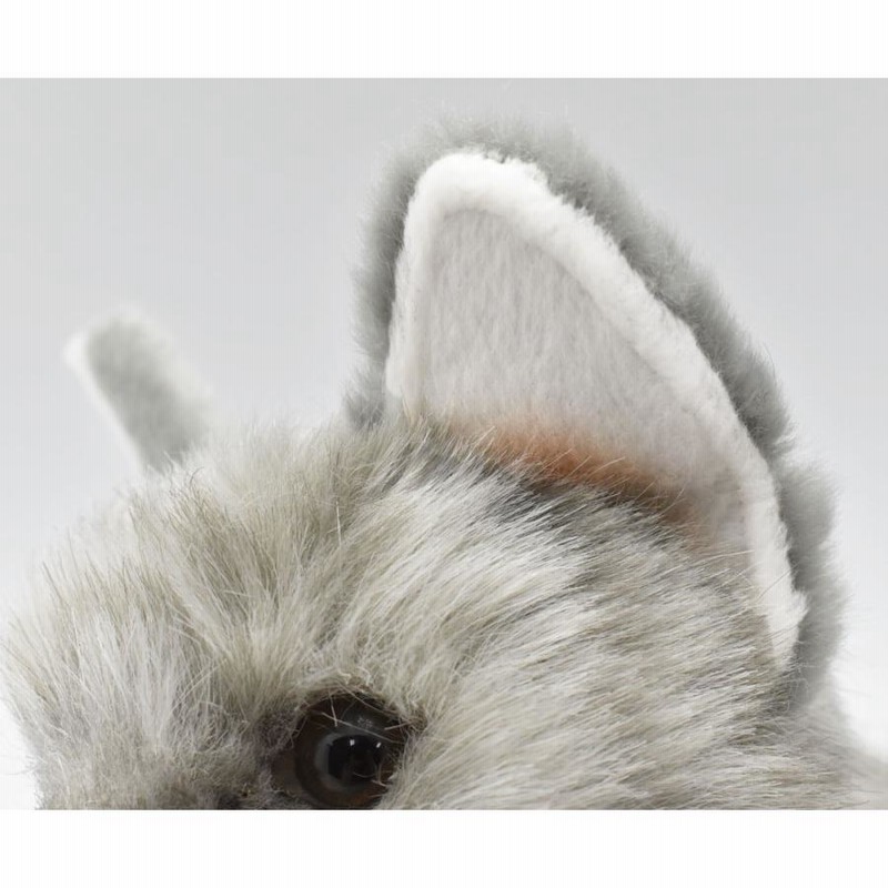 Amazon.co.jp: BH7198 HANSA ネコグレー37 : Toys & Games