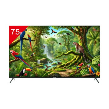 TATUNG大同 75型 4K 智慧顯示器 /台 UH-75UG900A【APP滿額下單4%點數(單一帳號最高1000點)】7/31止