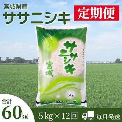 ふるさと納税 登米市 2024年1月発送開始『定期便』宮城県登米市産ササニシキ精米5kg　全12回