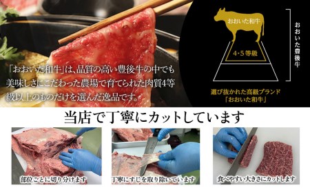 おおいた和牛 ローススライス すき焼き・しゃぶしゃぶ用 500g  牛肉 和牛 豊後牛 国産牛 赤身肉 大分県産 九州産 津久見市 国産