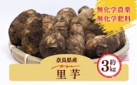 生命の農法（無化学農薬・無化学肥料栽培） 里芋 （約3kg）