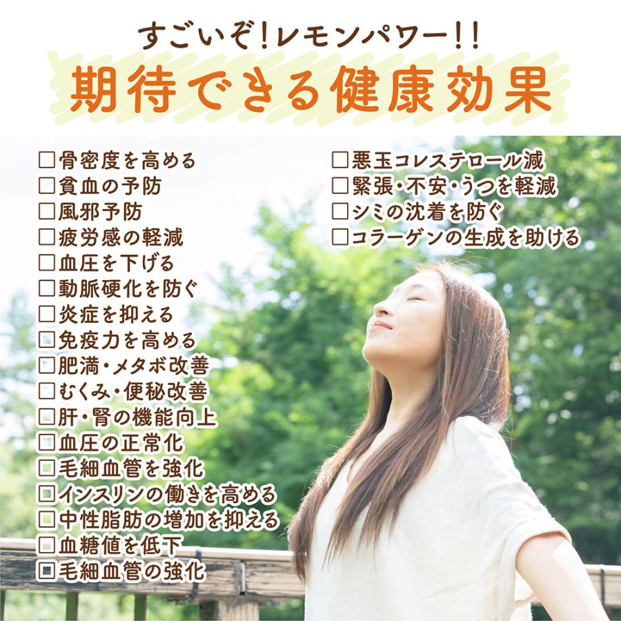 ドライフルーツ 愛媛県産 糖漬け レモン 100g 送料無料 国産 ドライレモン れもん 檸檬 お試し