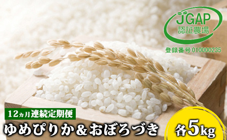 ◆12ヵ月連続お届け お米の定期便◆北海道日高R5年産 ゆめぴりか＆おぼろづき 各5kg 食べ比べ セット JGAP認証