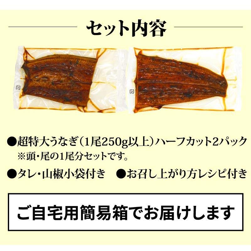 超特大うなぎハーフカット蒲焼 2パックセット 250g以上 2人前 国産うなぎ 蒲焼 土用の丑の日 土用 丑の日 ご自宅用 お取り寄せ 簡易箱 冷凍 送料無料