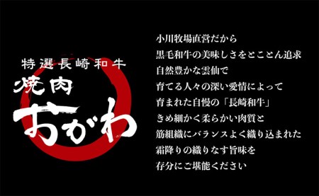 雲仙育ち おがわ牛 特選焼肉4点盛 上バラ・上モモ・上ロース・上カルビ