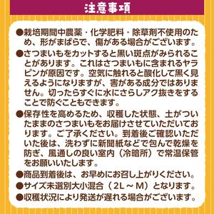 ふるさと納税 YX003 （土付き）福岡篠栗町産の熟成紅白さつまいも「紅はるか」5kg「くりこがね」5kgセット 2023年10月中旬より順次.. 福岡県篠栗町