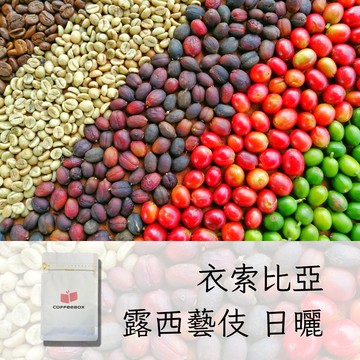 衣索比亞 露西藝伎 日曬 淺焙 (半磅)【柏克斯咖啡】