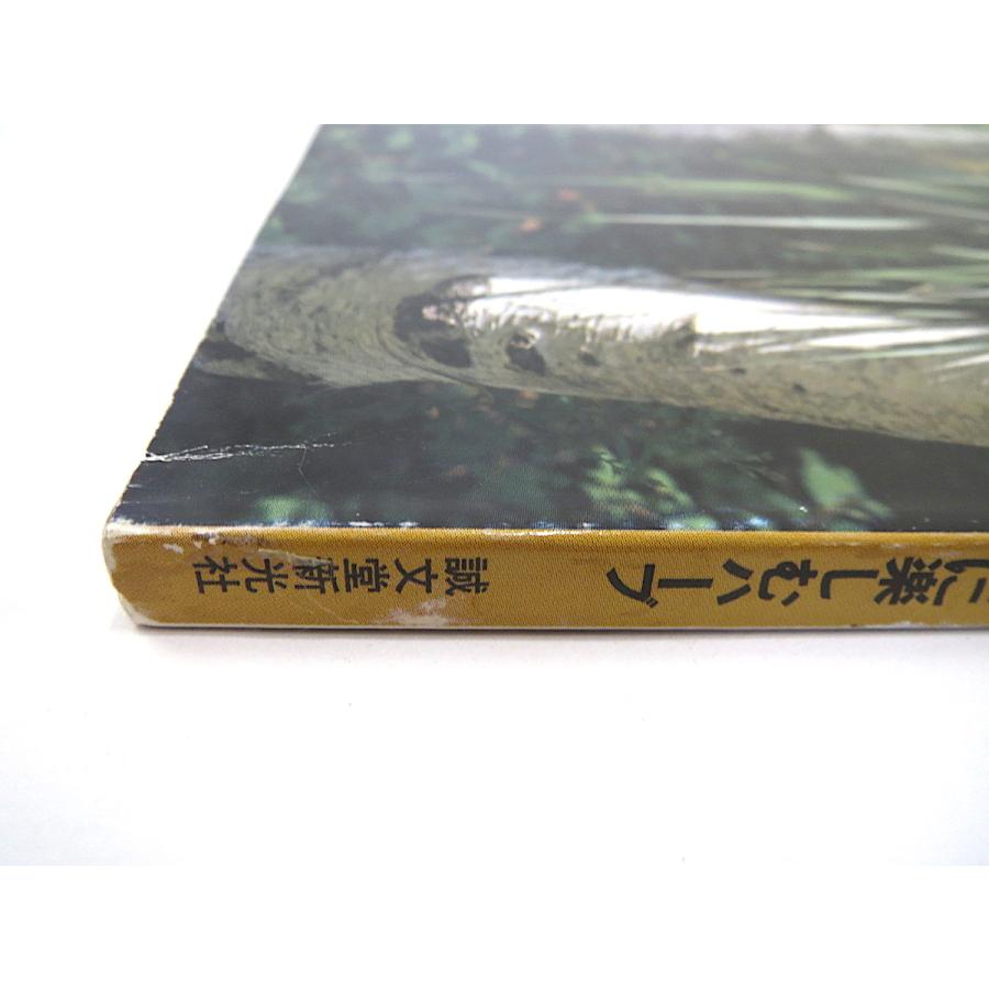 HERB 1998年9月号／保存食 秋まき・秋植えハーブ 埼玉・巾着田 魚カレー 小佐野常夫 ニューギニア低地民 コペンハーゲン植物園 中国庭園