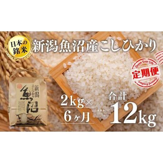 ふるさと納税 新潟県 十日町市 新潟魚沼産こしひかり（精米）2kg