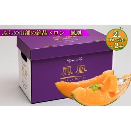 ふるさと納税 ふらの山部の絶品メロン『鳳凰』 2L（1.8〜2kg）×2玉（坂口農産） 北海道富良野市