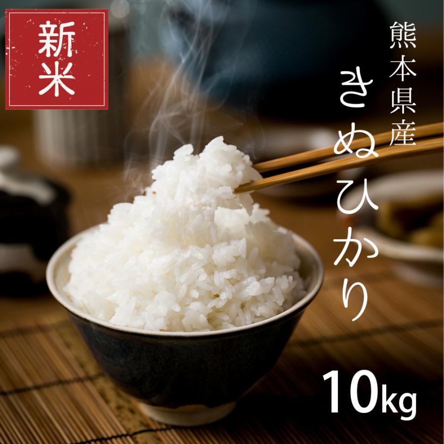 新米 クーポンご利用で3980円！ 米 お米 10kg キヌヒカリ 熊本県産 令和5年産 5kg×2袋 きぬひかり