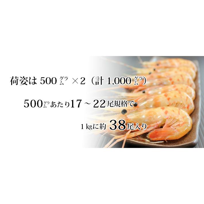 天然ぼたん海老１ｋｇ