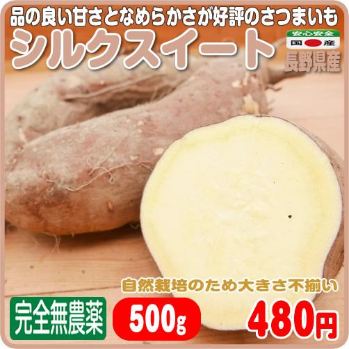 品の良い甘さが好評の無農薬さつまいも　シルクスイート ５００ｇ 長野県産