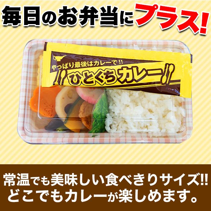 送料込み(送料無料) ひとくちカレー 30g×10袋 (発送遅いです)TEN